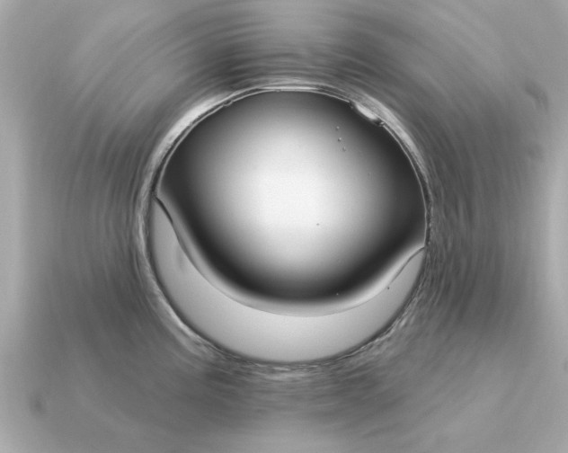 X0000115161195200911101743