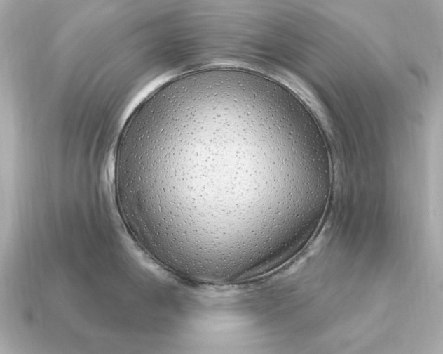 X0000115161198200911101743