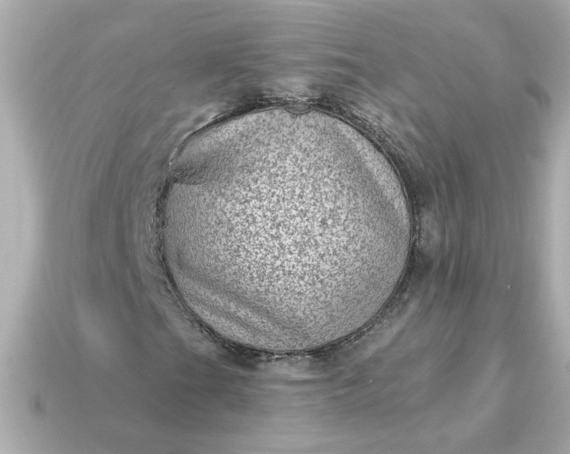X0000115161201200911101743