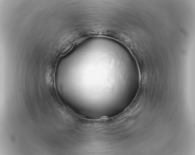 X0000115161202200911101743