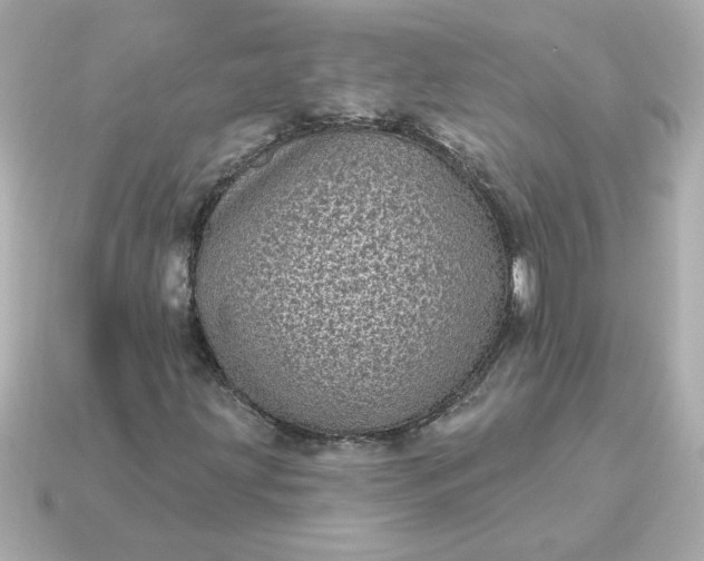 X0000115161203200911101743