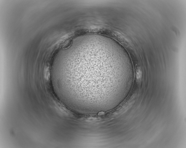 X0000115161204200911101743