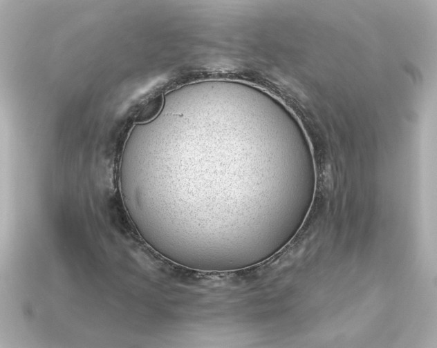 X0000115161205200911101743