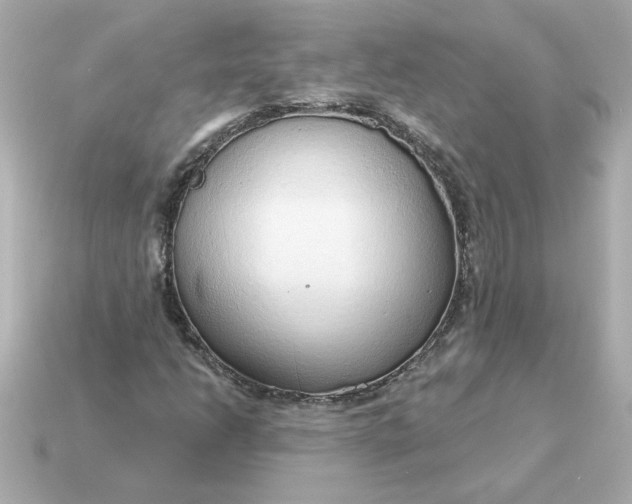 X0000115161206200911101743