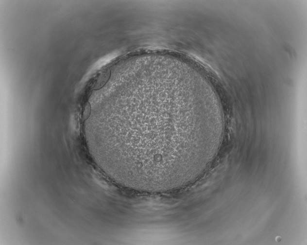 X0000115161207200911101743