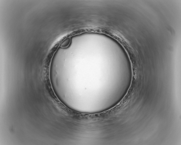 X0000115161208200911101743