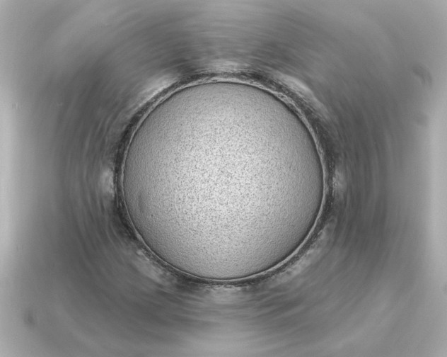 X0000115161209200911101743