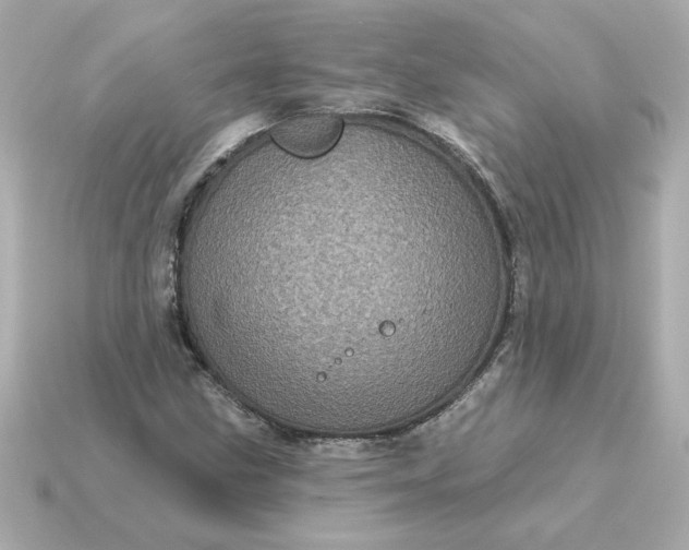 X0000115161211200911101743