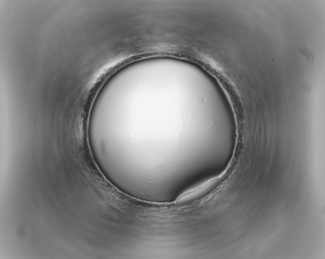 X0000115161214200911101743