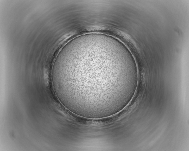 X0000115161217200911101743