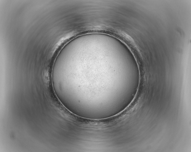 X0000115161218200911101743