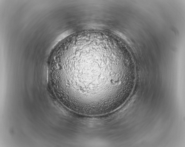 X0000115161219200911101743