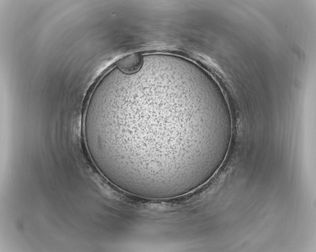 X0000115161220200911101743