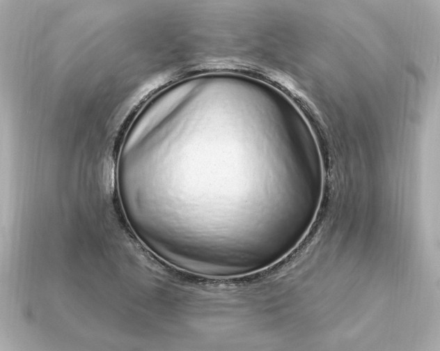 X0000115161221200911101743