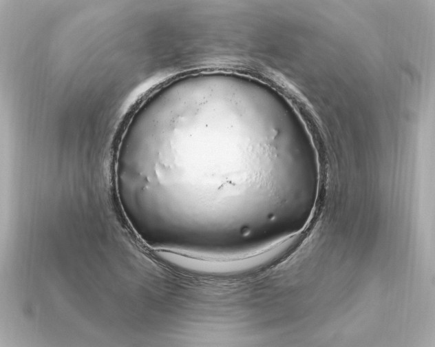 X0000115161222200911101743