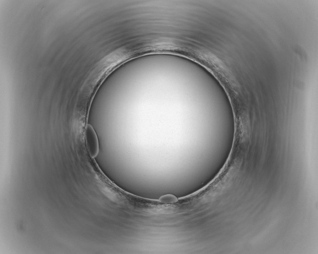 X0000115161225200911101743