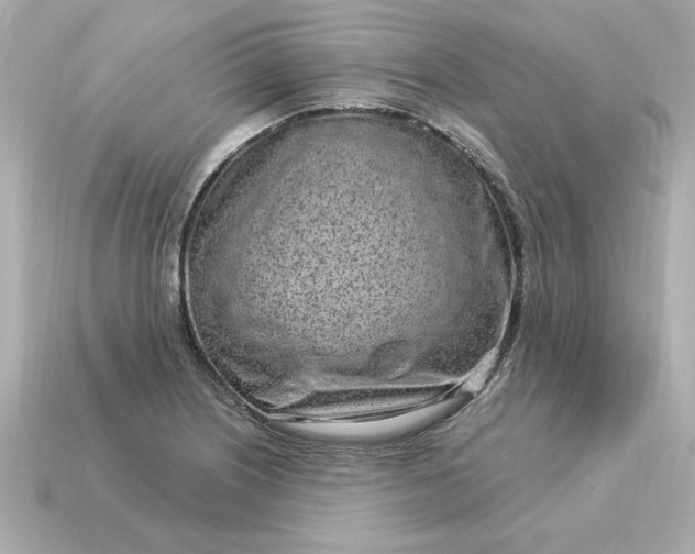 X0000115161226200911101743