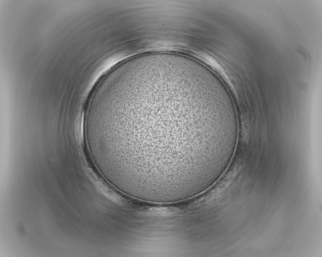 X0000115161227200911101743