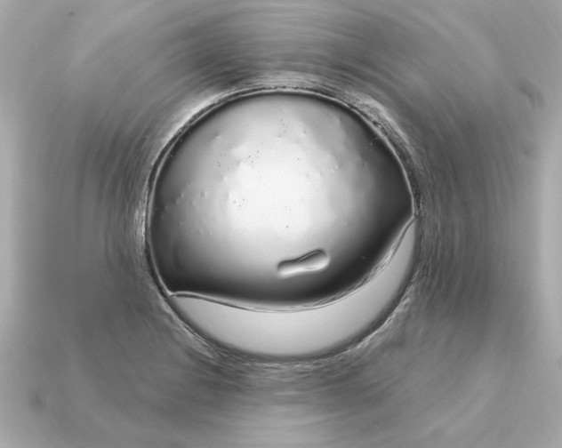 X0000115161228200911101743