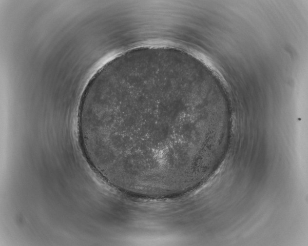 X0000115161229200911101743
