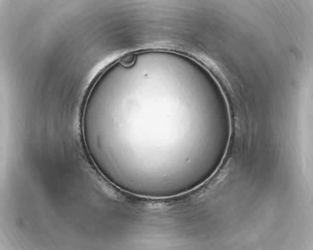 X0000115161230200911101743