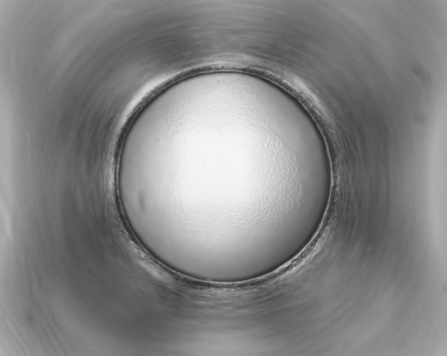 X0000115161232200911101743