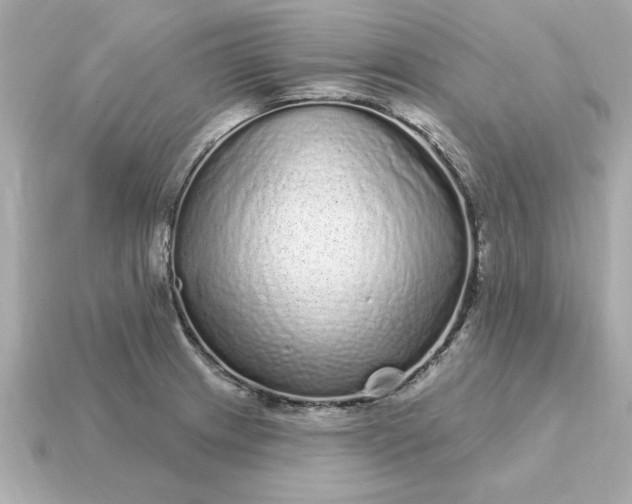 X0000115161233200911101743