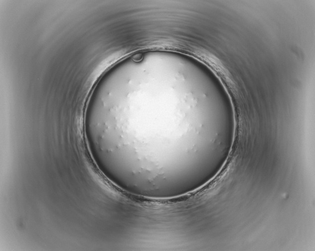 X0000115161234200911101743