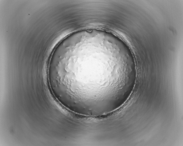 X0000115161235200911101743