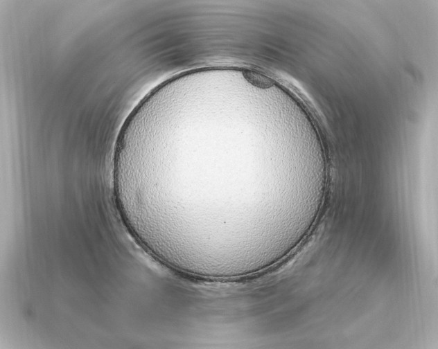 X0000115161236200911101743
