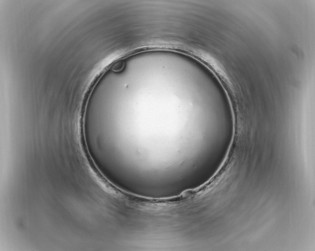 X0000115161237200911101743