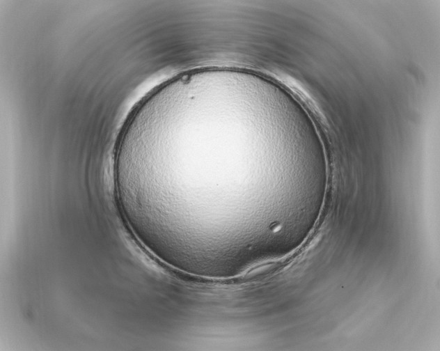 X0000115161238200911101743