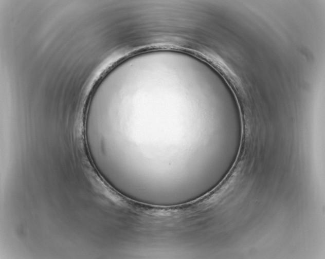 X0000115161240200911101743
