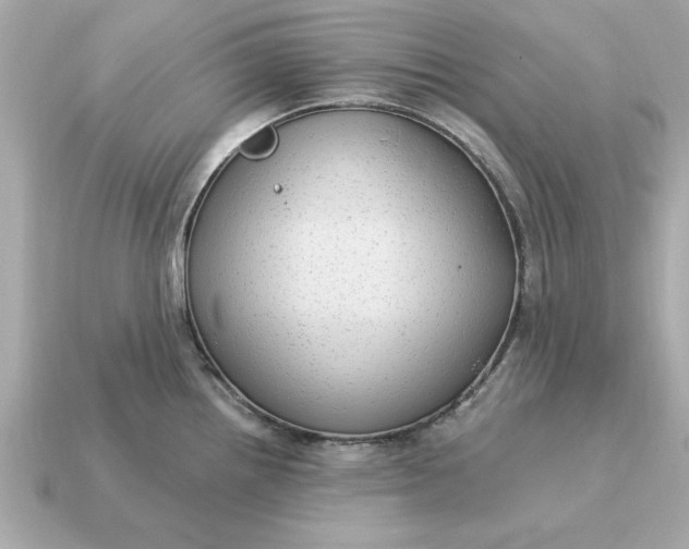 X0000115161242200911101743