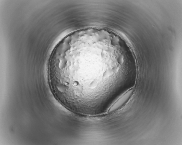 X0000115161243200911101743