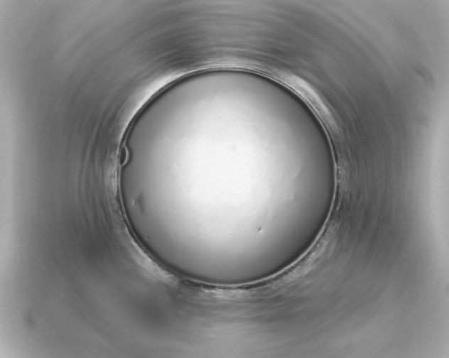X0000115161244200911101743