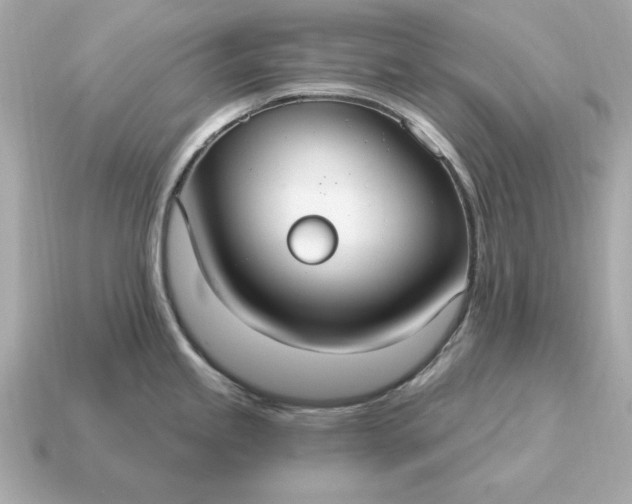 X0000115161245200911101743