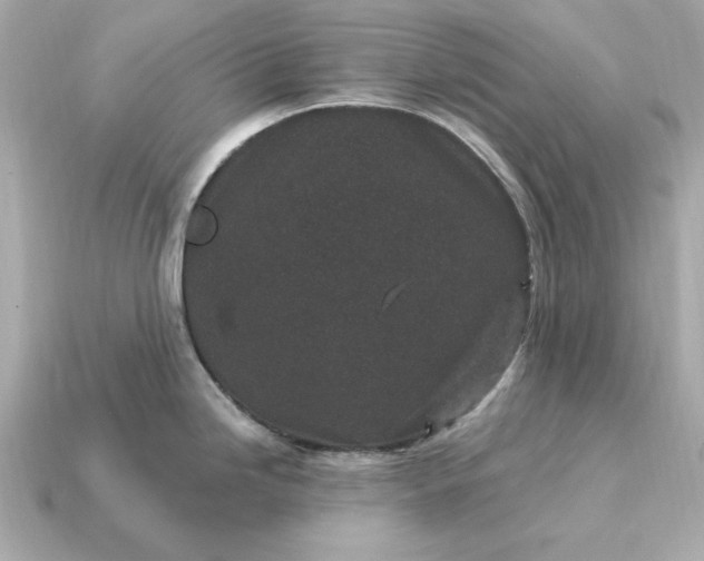 X0000115161246200911101743
