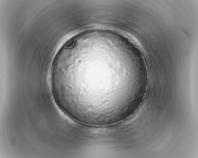 X0000115161247200911101743