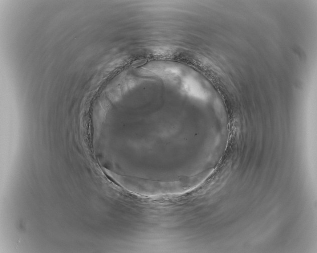 X0000115161249200911101743