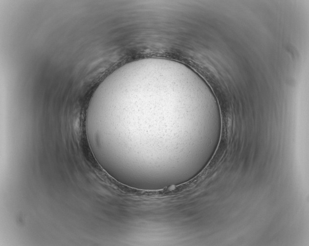 X0000115161250200911101743