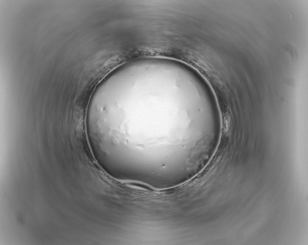 X0000115161251200911101743