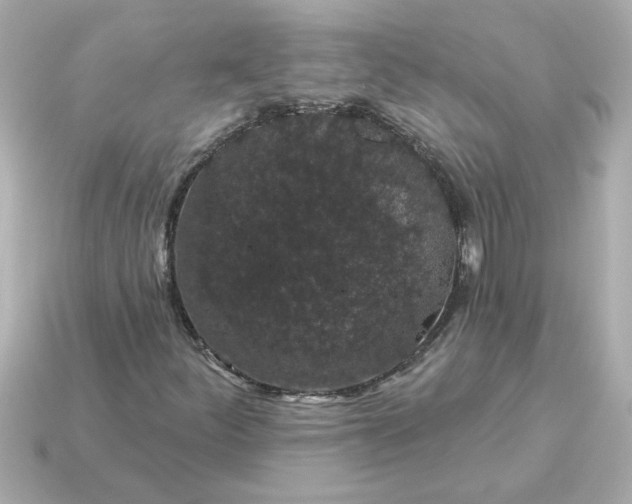 X0000115161252200911101743
