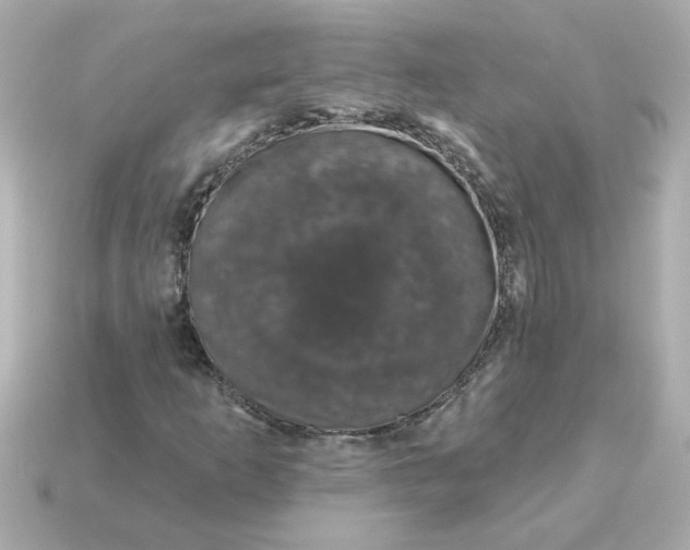 X0000115161253200911101743