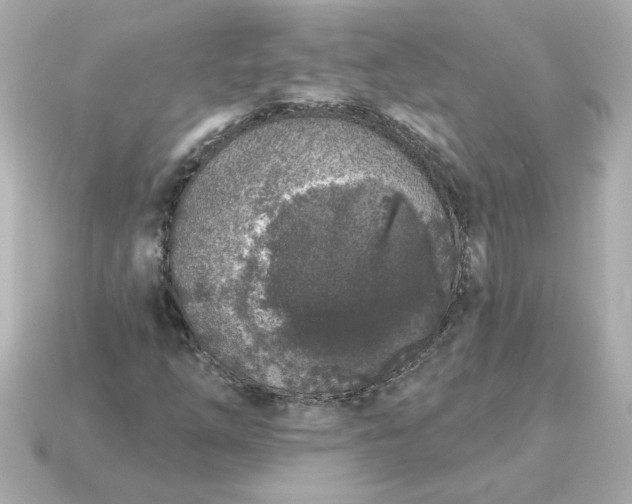 X0000115161254200911101743