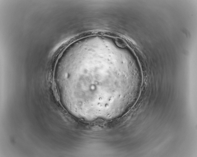 X0000115161255200911101743