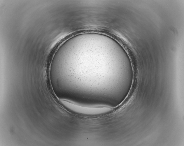 X0000115161259200911101743
