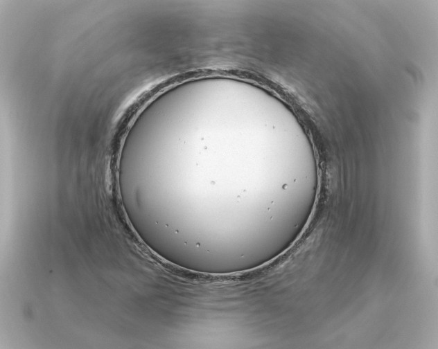 X0000115161262200911101742