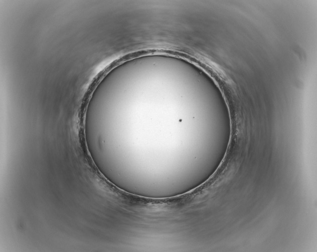 X0000115161264200911101742