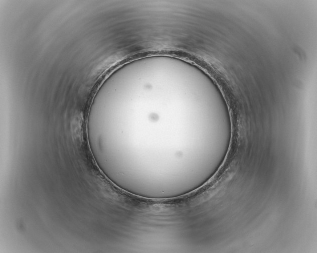 X0000115161265200911101742